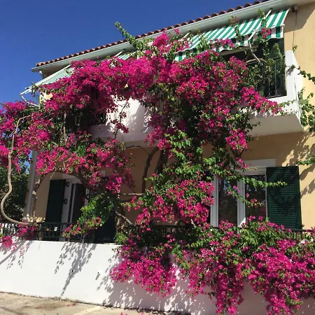 Daire Casa Buganvilla Minia