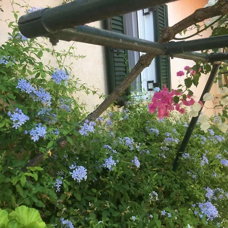 Daire Casa Buganvilla Minia